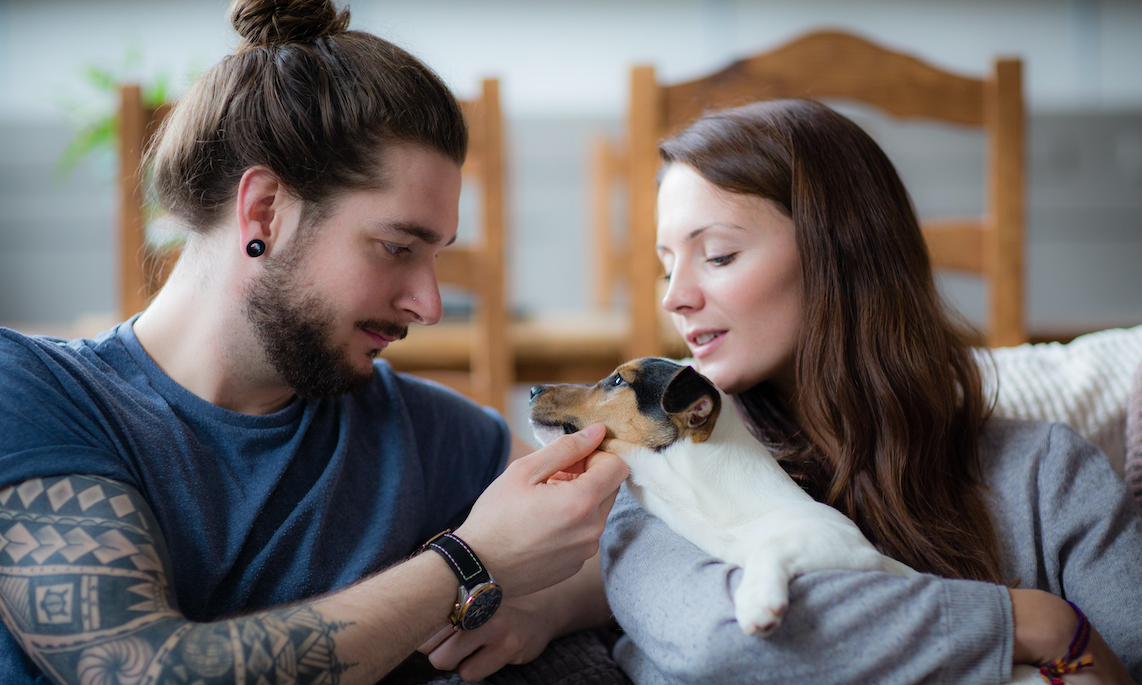 Pet purchases soar during UK lockdown