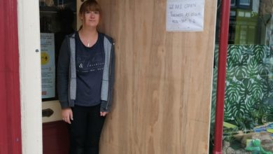 Pet shop targeted by vandals