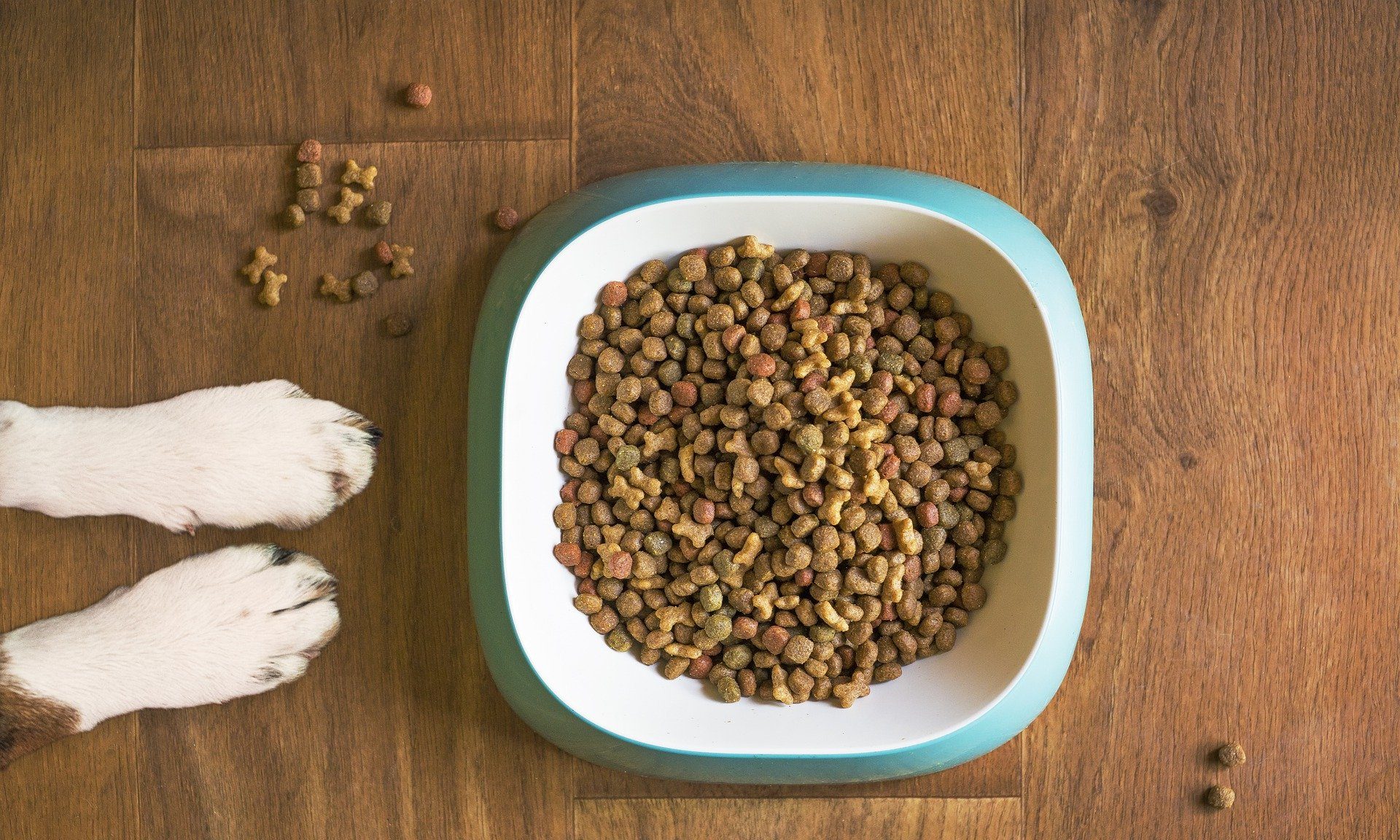 Voff Premium Pet Food acquires Carnibest