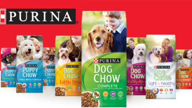 Nestlé growth boosted by pet sales
