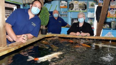 Burgos Pet World extends aquatic centre
