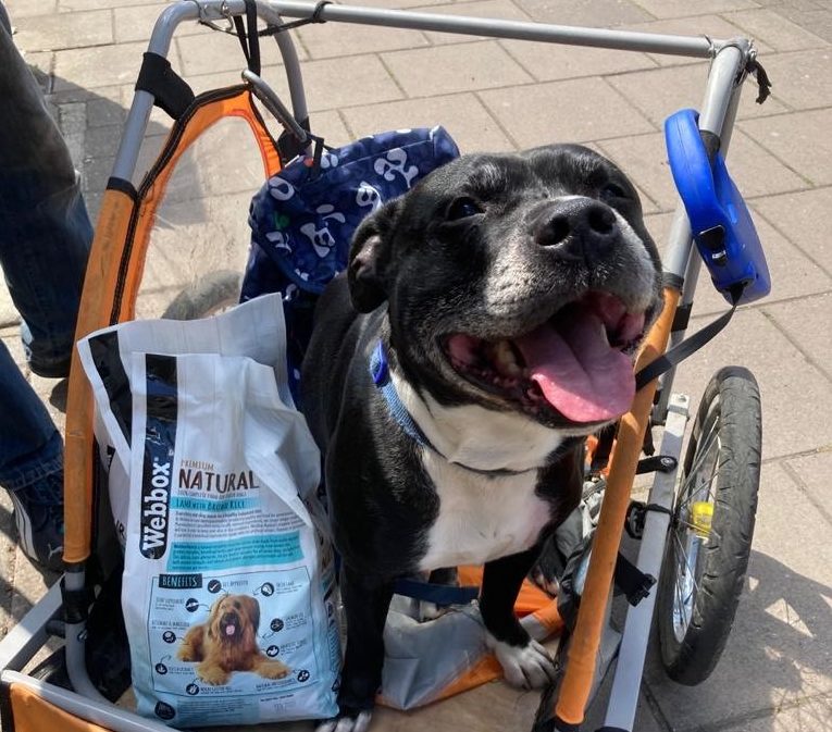 StreetVet partners with Webbox