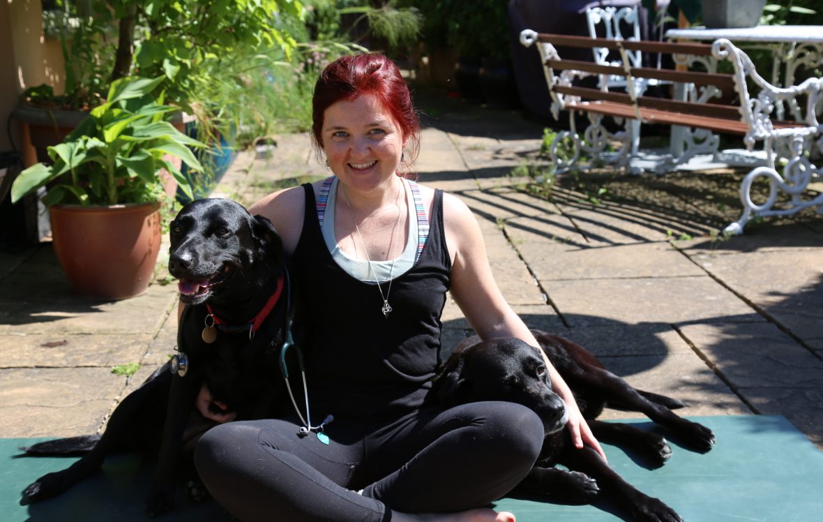 Lintbells partners with VetYogi 