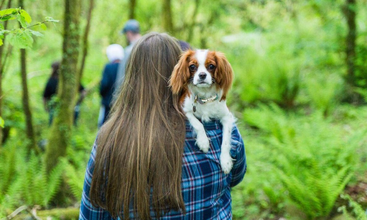 Burns Pet Nutrition partners with Dog Furiendly