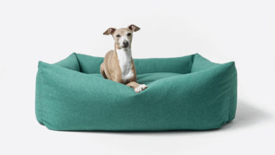 Charley Chau launches Bliss Bolster Bed