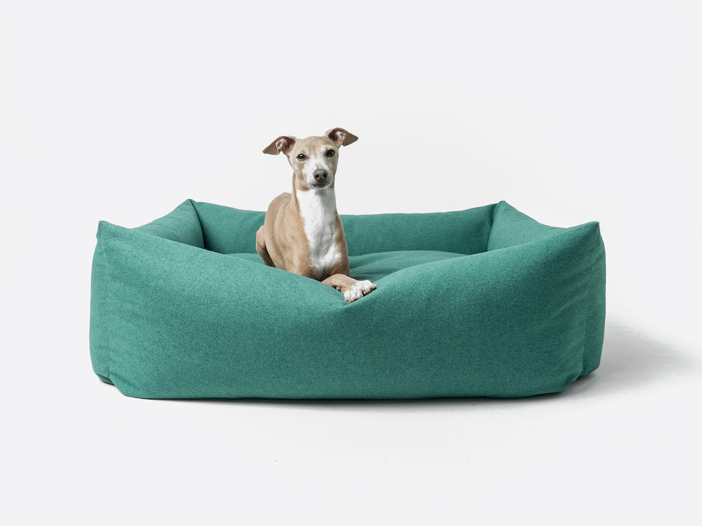 Charley Chau launches Bliss Bolster Bed
