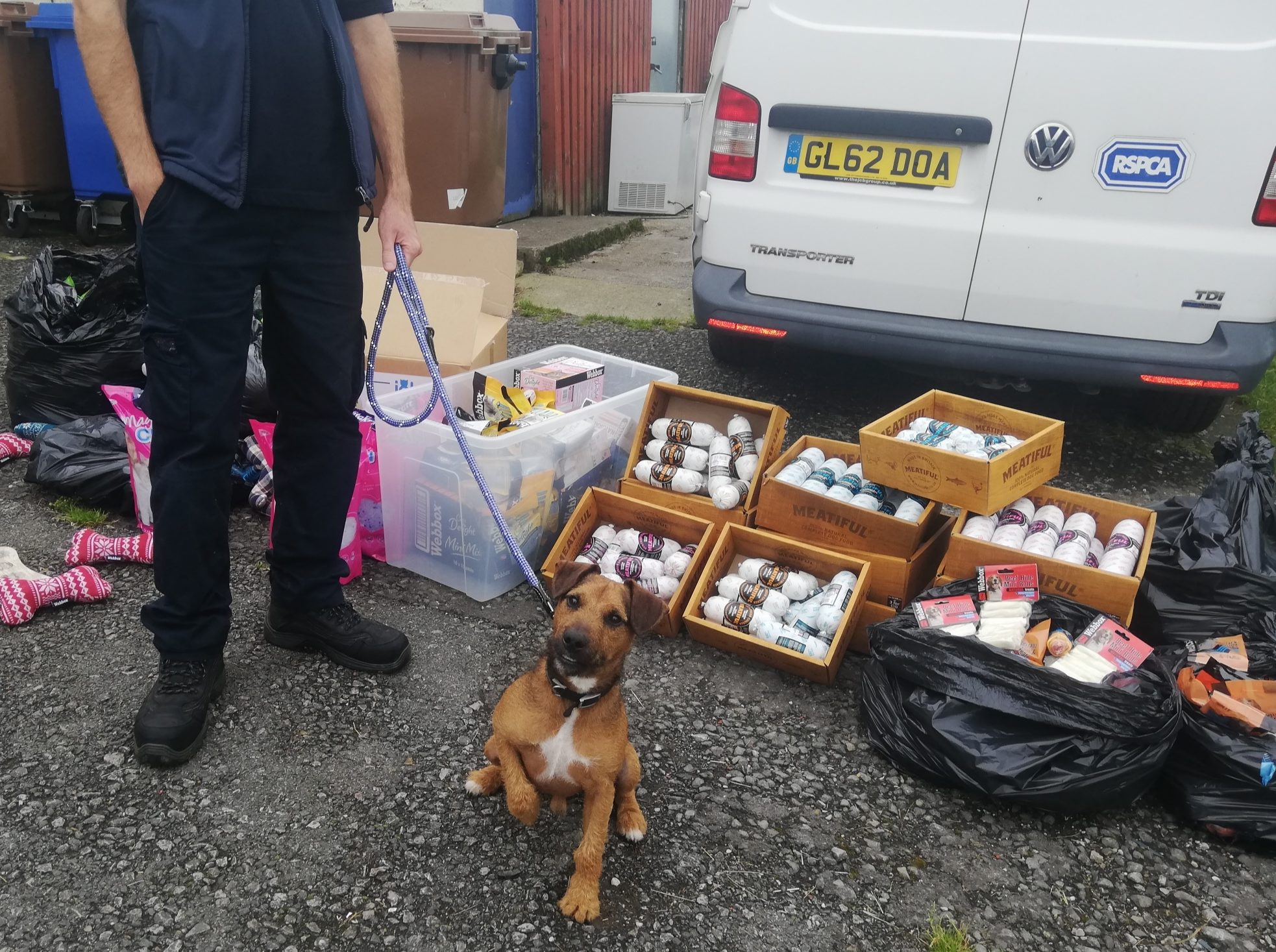 Webbox donates to RSPCA branches 