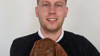 How pet brands can best utilise social media