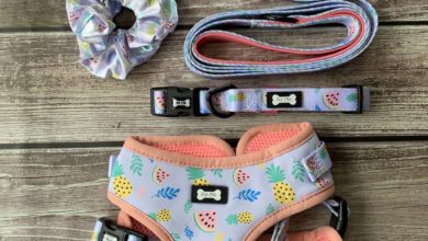 Puppy boutique start-up opens its doors