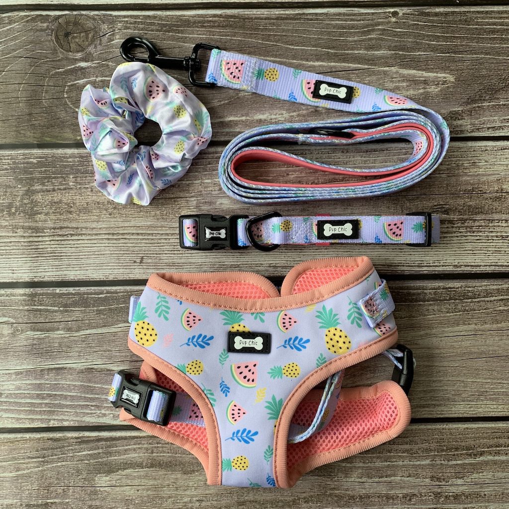 Puppy boutique start-up opens its doors