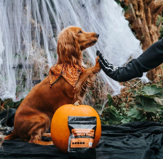 Natural Instinct launches ‘Halloween Treats’ for dogs