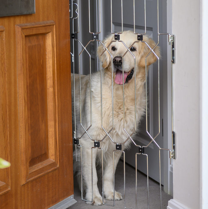 DogG8 launches new gate for the home Post