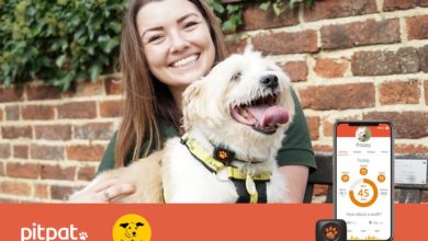 PitPat Dog GPS Tracker With No Subscription - PitPat