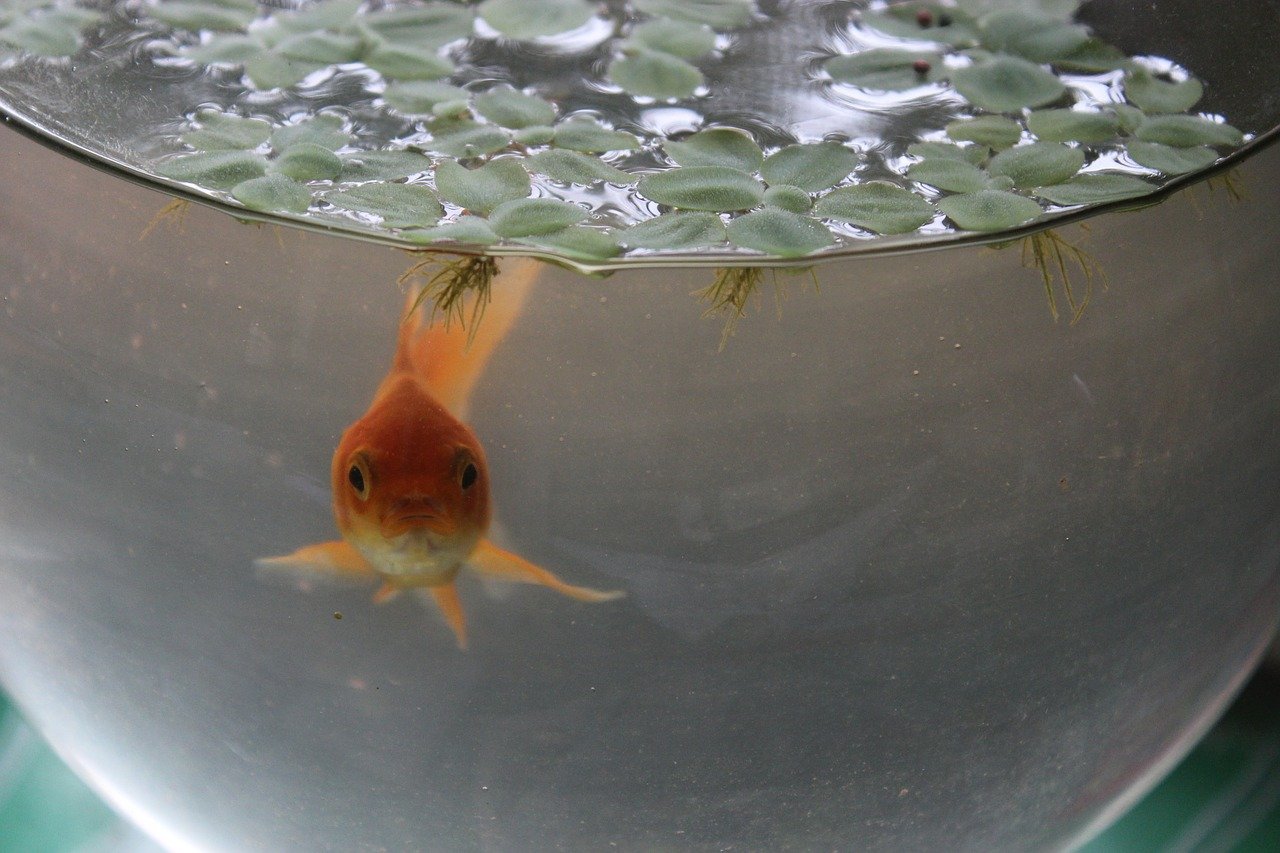 OATA names Dr Matthew Bond new scientific and technical adviser.