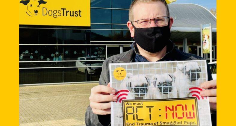 Dogs Trust ‘puppy smuggling’ campaign sees support from Denton MP