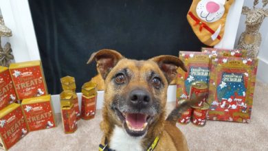 Lily’s Kitchen partners with Dogs Trust