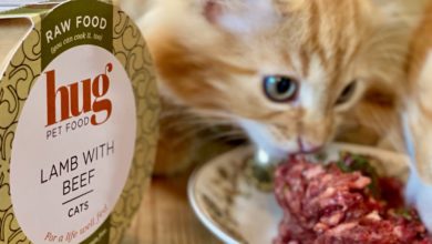 Hug enters market with hybrid pet food offering 