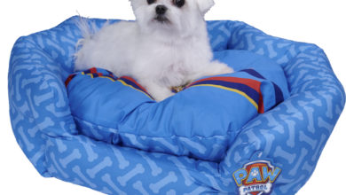 Trends UK launches Paw Patrol pet accessories range