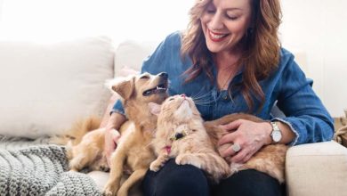 Purina launches pet food with plant and insect proteins