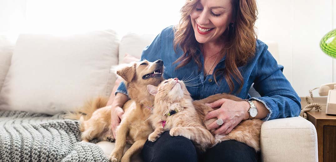 Purina launches pet food with plant and insect proteins