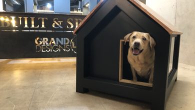 Built and Spaces launches luxury dog kennel
