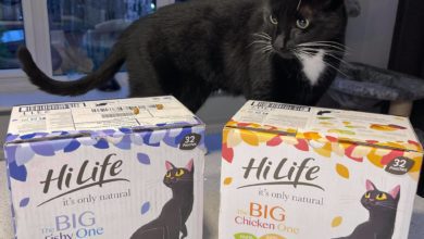 HiLife donates 45,000 meals to homeless animals