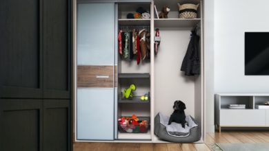 Spaceslide launches ‘The Pawdrobe’