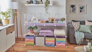 Kavee expands guinea pig cage range