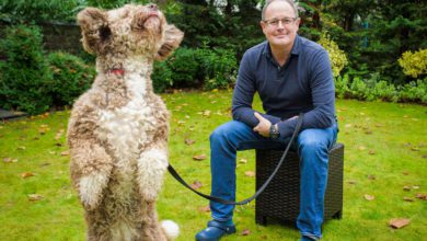 Paws Holdings raises £7m for ‘ambitious’ growth plans