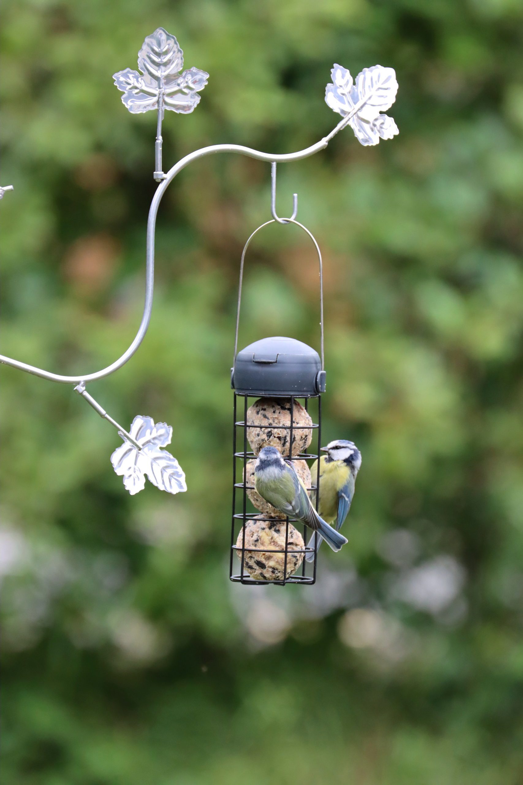 Henry Bell Wild Bird Care launches sterling collection