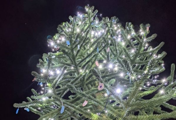 Pet crematorium raises £2,000 for charity