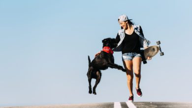 Purina calls for Unleashed accelerator programme applicants 2021