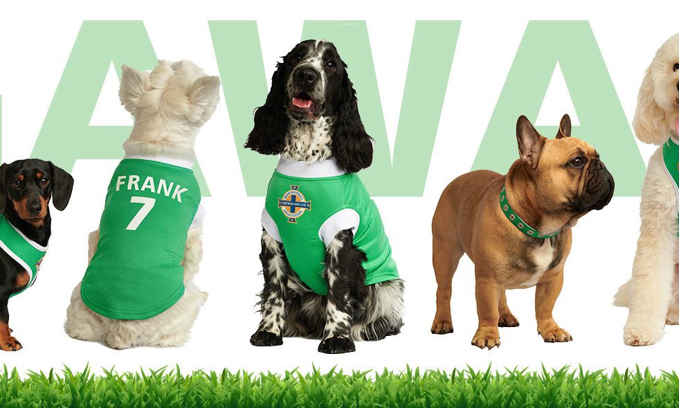 Irish FA teams up with Urban Pup on designer dog clothes