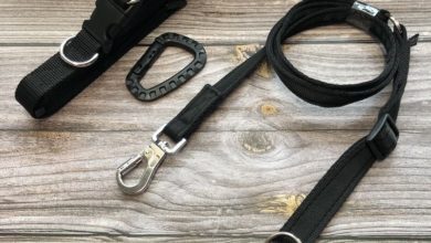 Meg Heath Dog Leads launches theft deterrent range