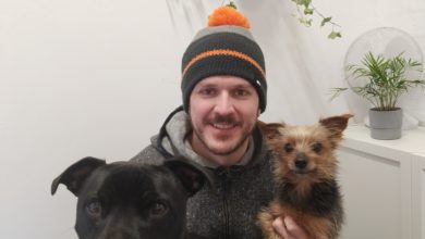Flerm: The pet sector’s newest arrival