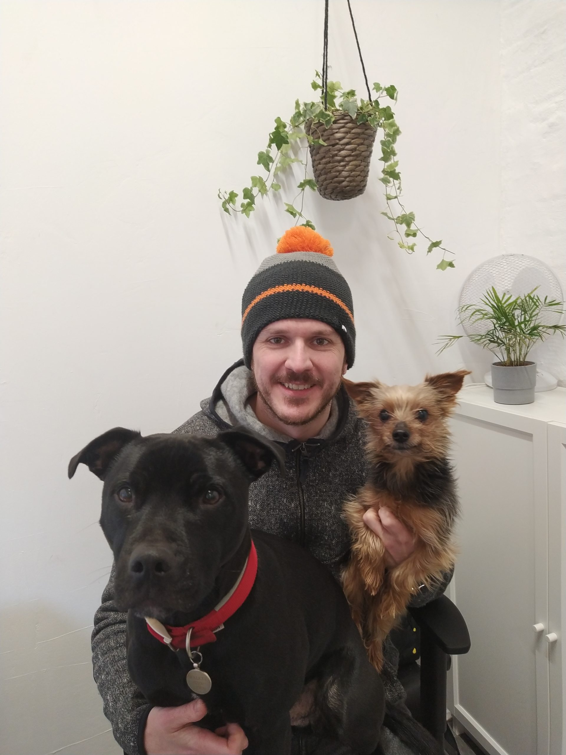 Flerm: The pet sector’s newest arrival