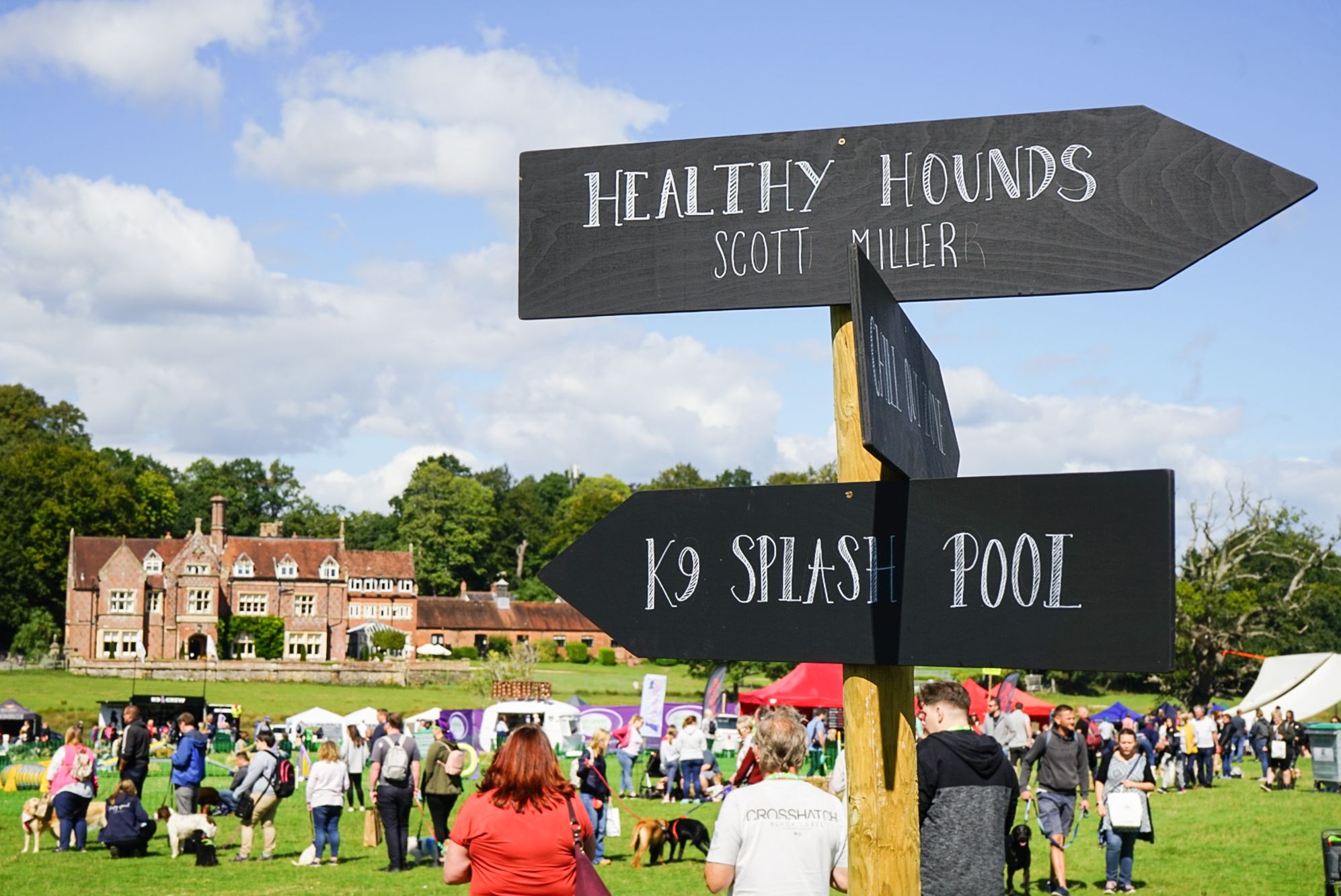 Dogstival to go ahead this June