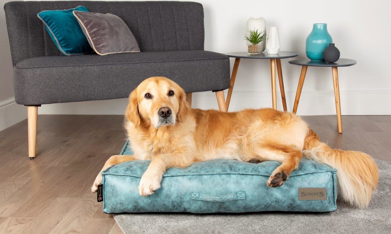 Scruffs launches new pet bedding collection