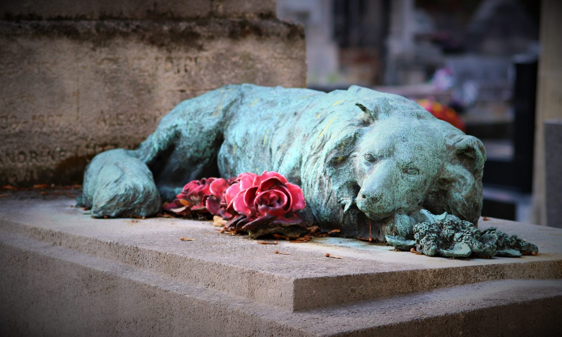 PCS joins with VetPartners