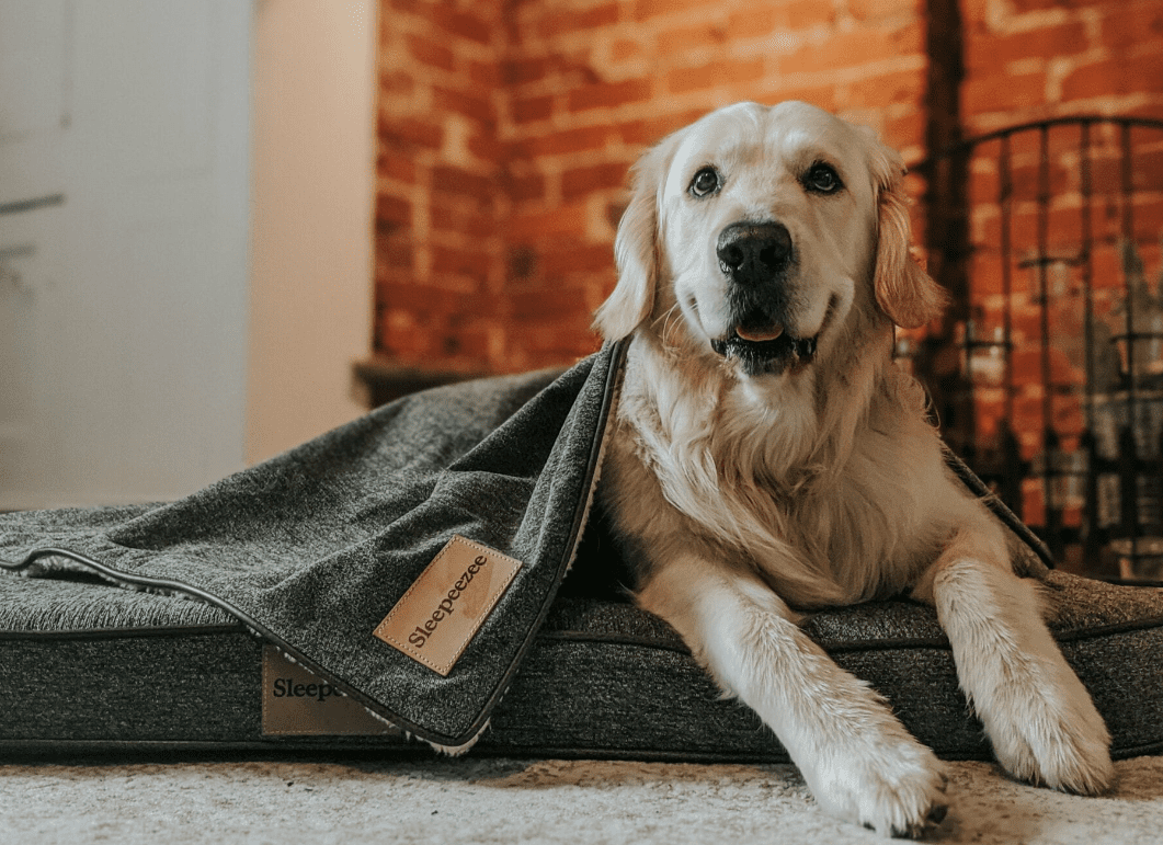 Sleepeezee expands pet range