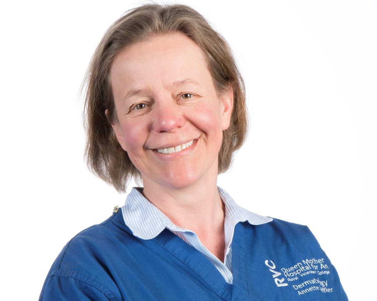 Test and treat our dogs’ bacterial skin infections: Time to look after our antibiotics