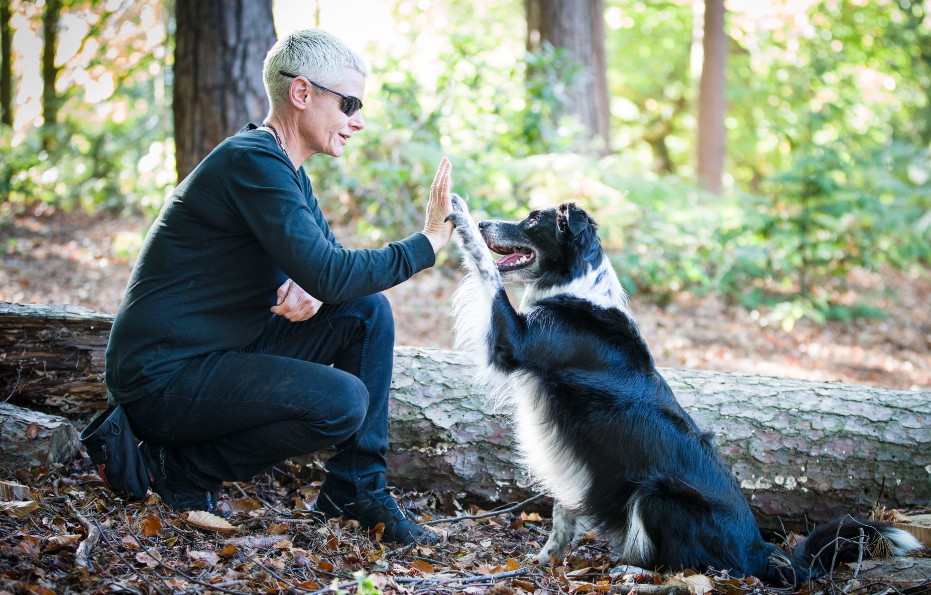 Click-2-Heel reveal campaign for National Pet Month