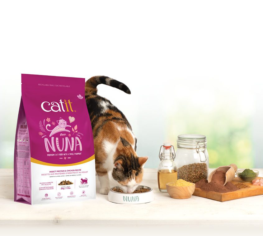 Catit launches insect-based cat food range