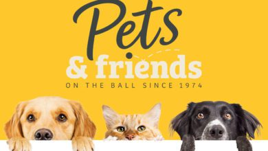 Kennelgate relaunches online as PetsandFriends.co.uk
