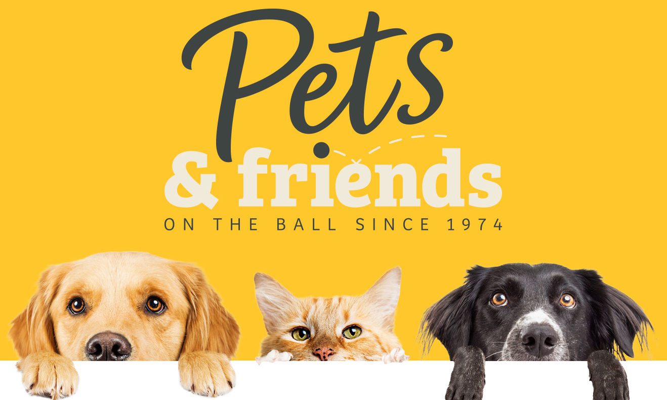 Kennelgate relaunches online as PetsandFriends.co.uk