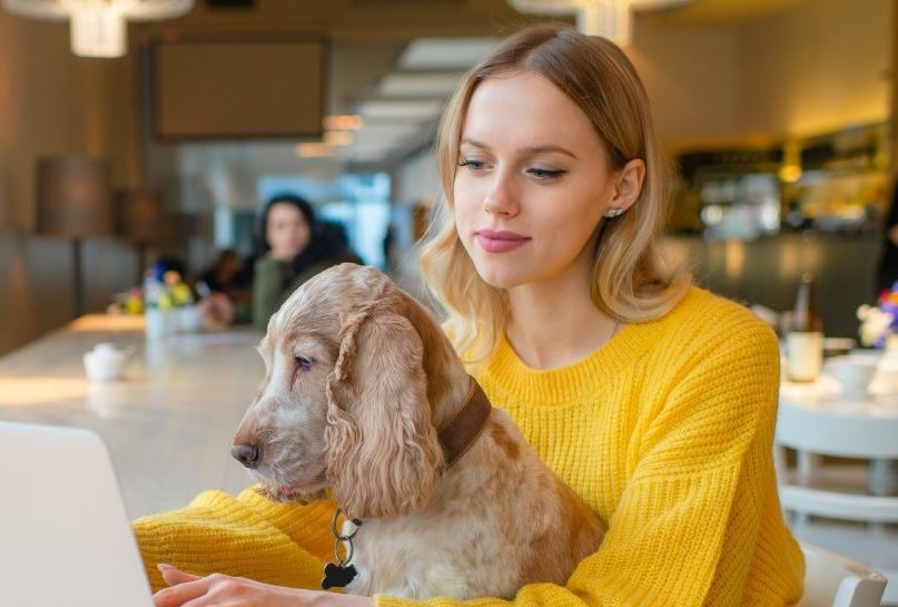 Pet Media Group acquires Dutch marketplace