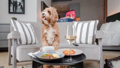 Hilton launches Bone Appétit menu for dogs