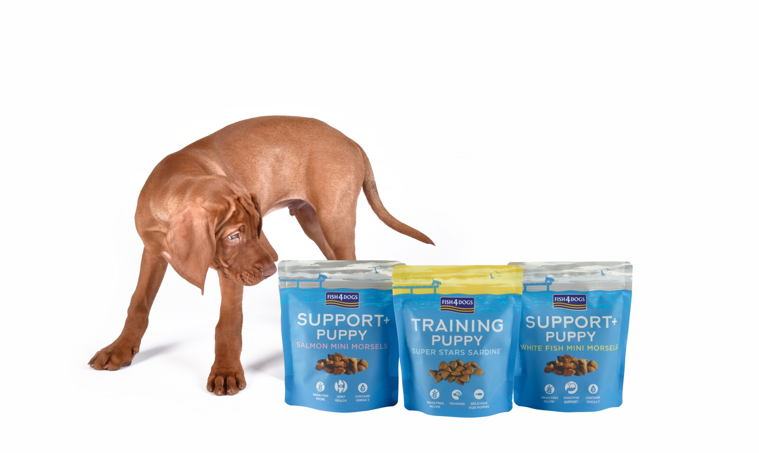 Fish4Pets launches new puppy treats range