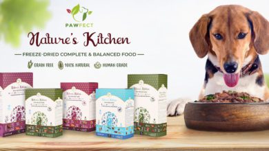 Clean deck dog treats provider Pawfect leads the field in freeze – dried thinking and makes its pet food debut