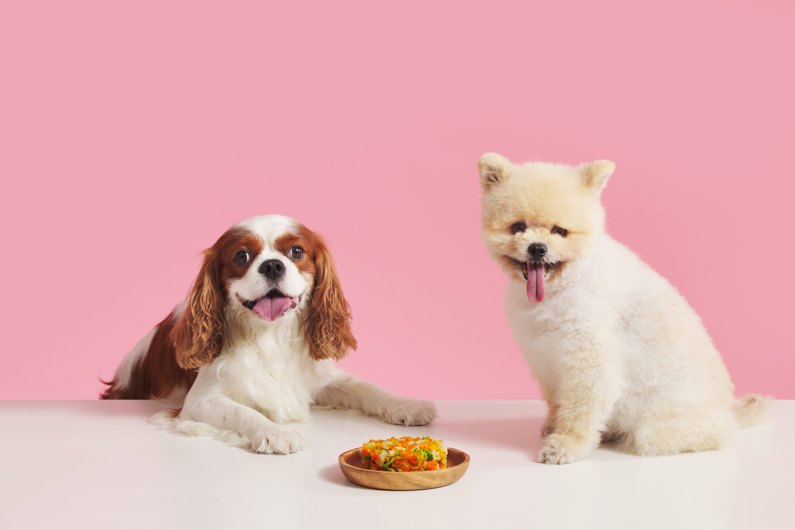 JustKitchen launches delivery-only pet food brand
